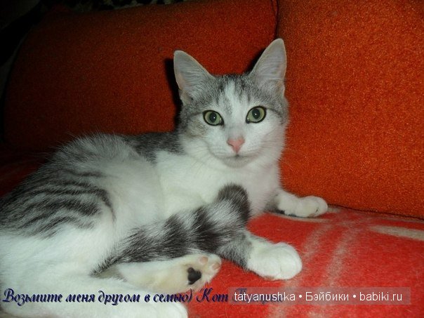 Быть или не Быть вот в чем вопрос (фото 3)