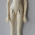 женское тело SD (50см)