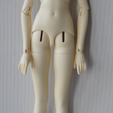 женское тело SD (50см)