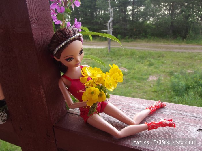 Как мои красавицы в Карелии отдыхали