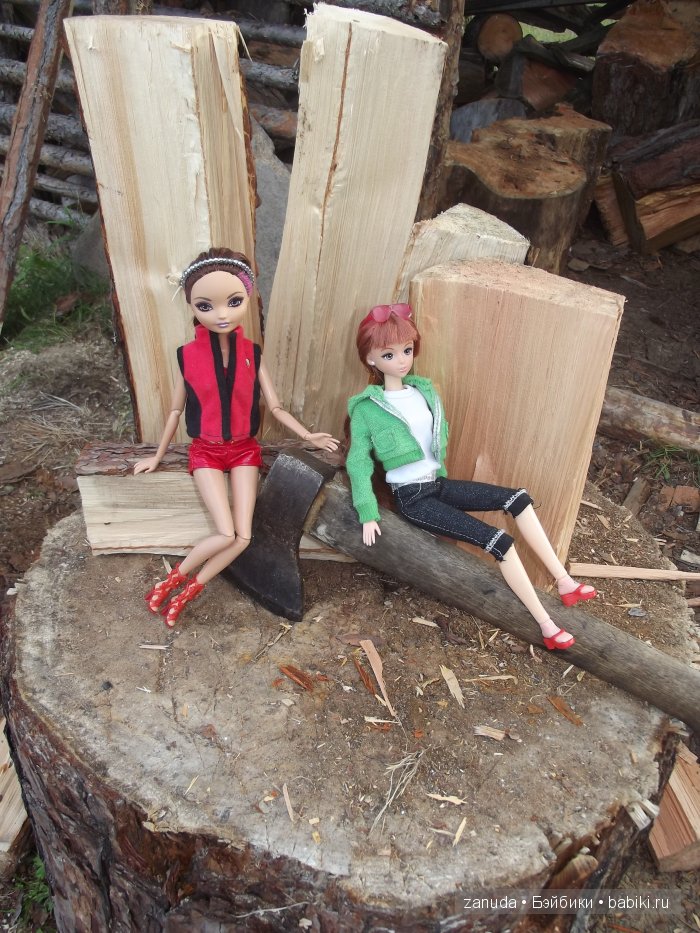 Как мои красавицы в Карелии отдыхали (фото 7)