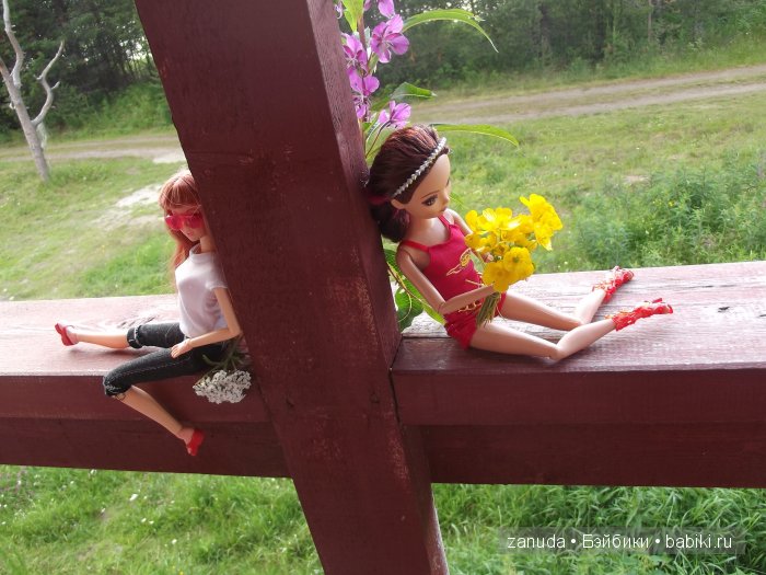 Как мои красавицы в Карелии отдыхали