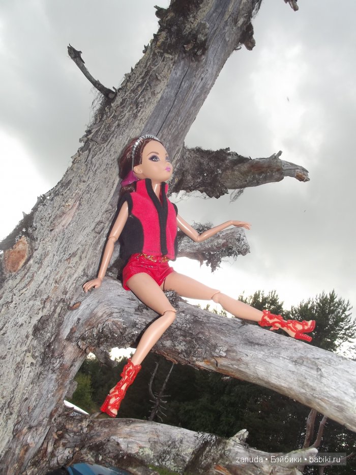 Как мои красавицы в Карелии отдыхали (фото 3)