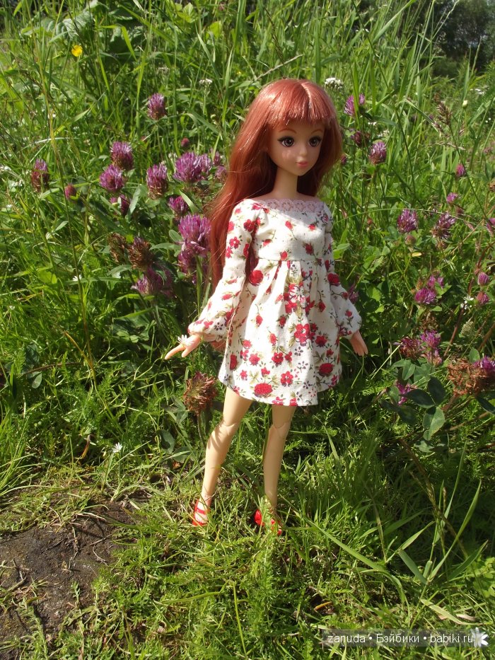 Как мои красавицы в Карелии отдыхали