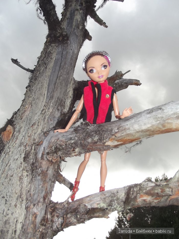 Как мои красавицы в Карелии отдыхали (фото 2)