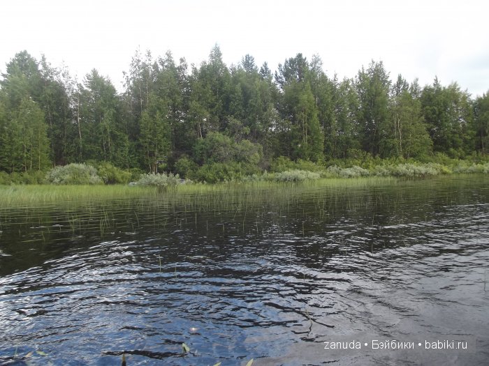 Как мои красавицы в Карелии отдыхали (фото 10)