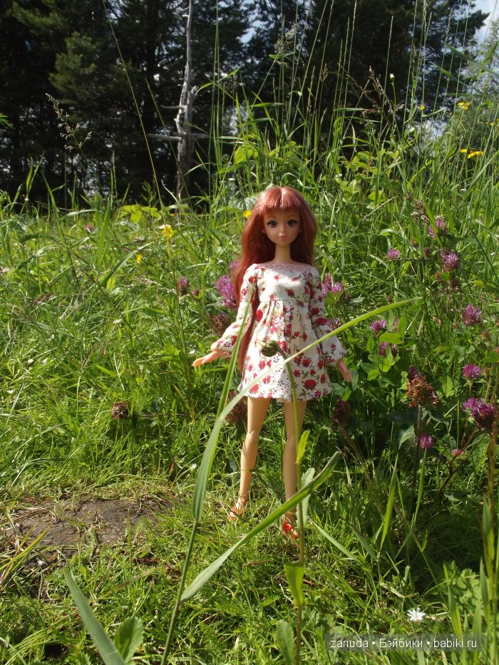 Как мои красавицы в Карелии отдыхали