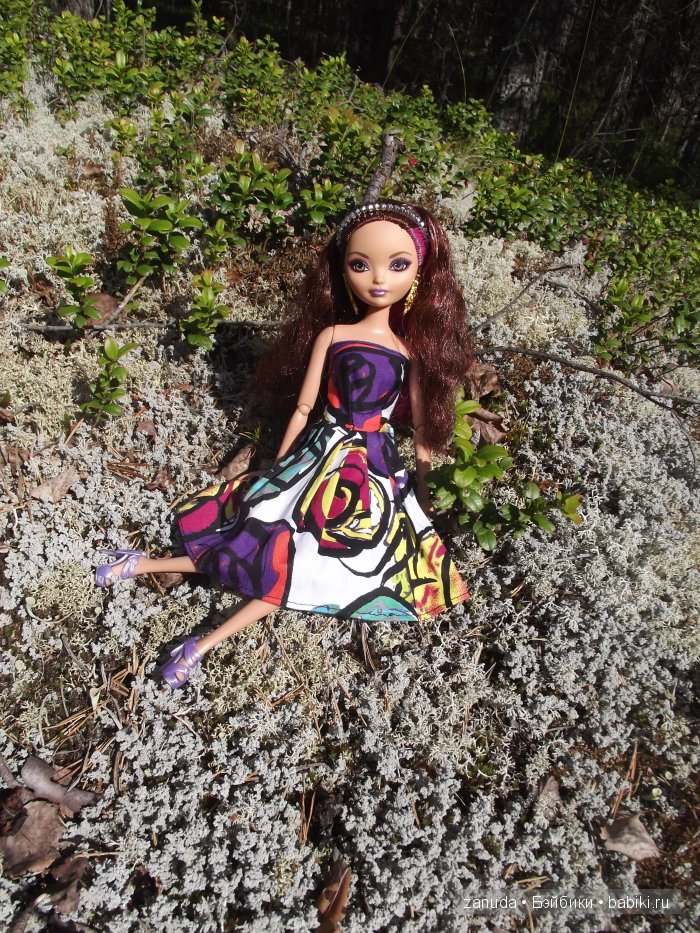 Как мои красавицы в Карелии отдыхали