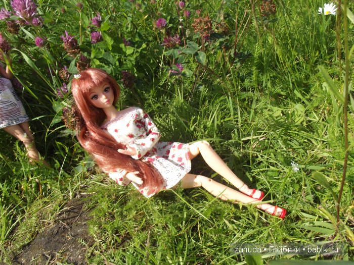 Как мои красавицы в Карелии отдыхали