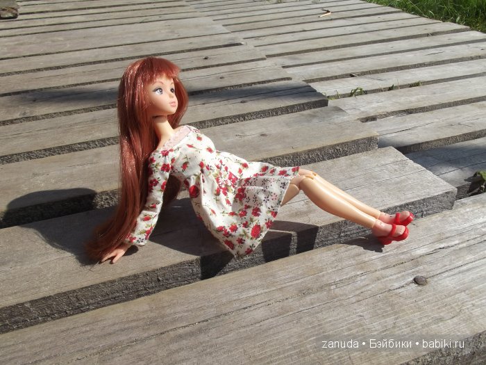 Как мои красавицы в Карелии отдыхали