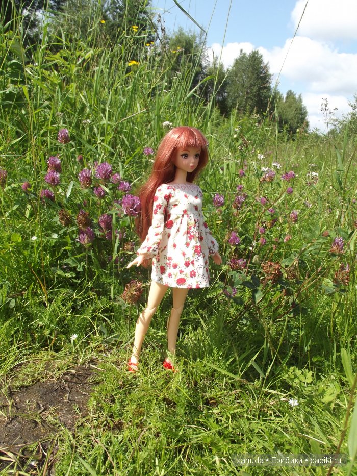 Как мои красавицы в Карелии отдыхали