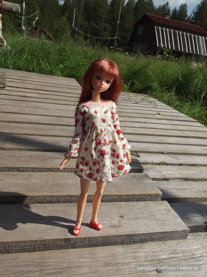 Как мои красавицы в Карелии отдыхали