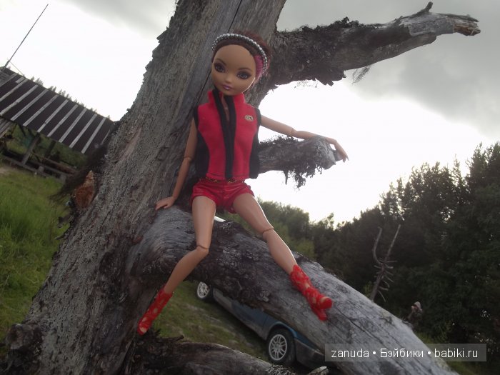 Как мои красавицы в Карелии отдыхали (фото 4)