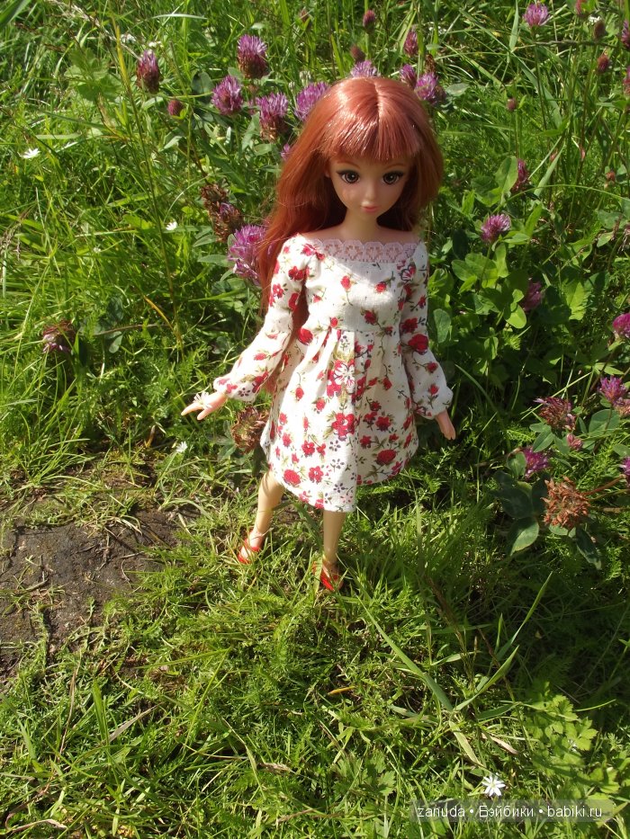 Как мои красавицы в Карелии отдыхали