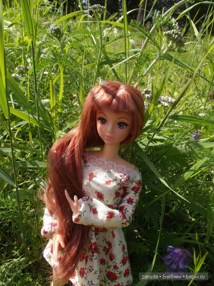 Как мои красавицы в Карелии отдыхали