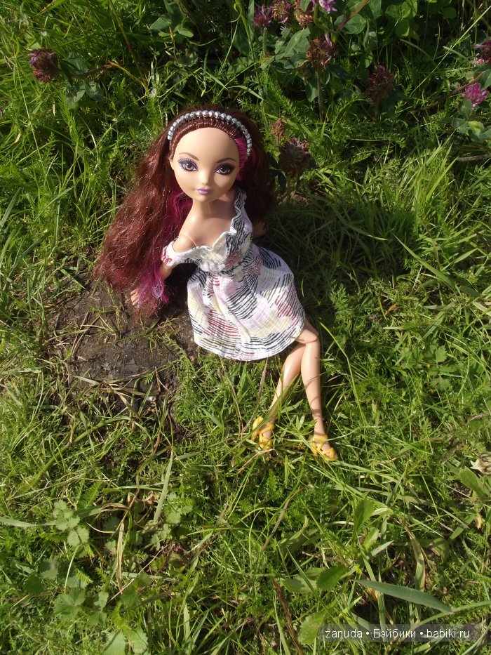 Как мои красавицы в Карелии отдыхали