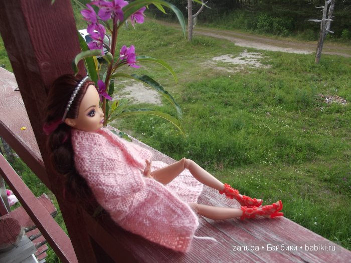 Как мои красавицы в Карелии отдыхали