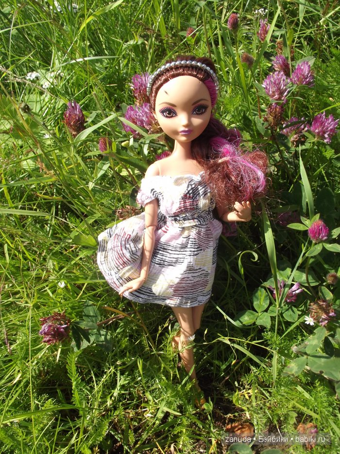 Как мои красавицы в Карелии отдыхали