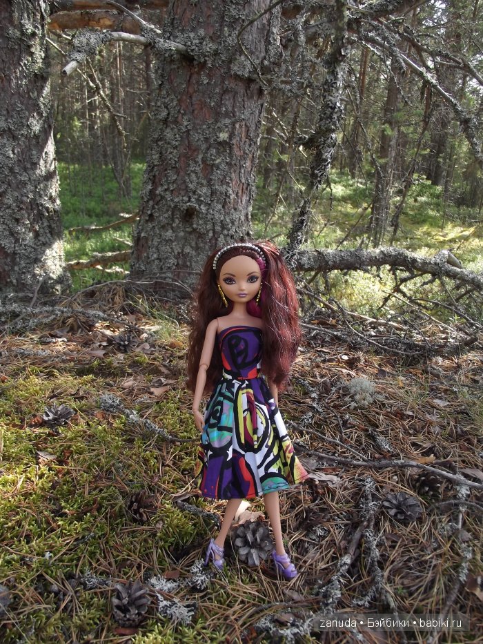 Как мои красавицы в Карелии отдыхали