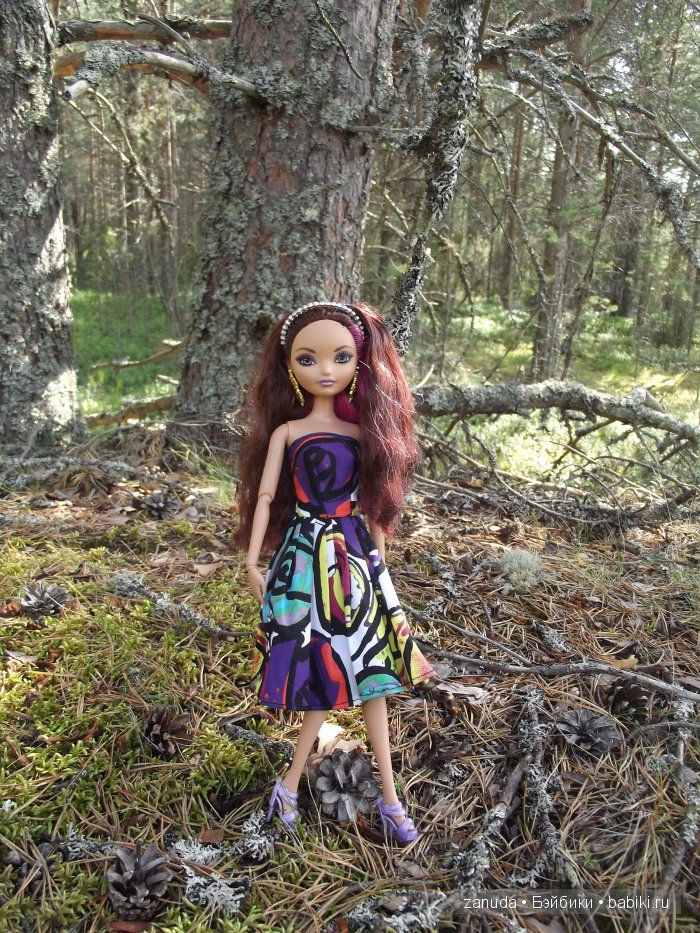 Как мои красавицы в Карелии отдыхали