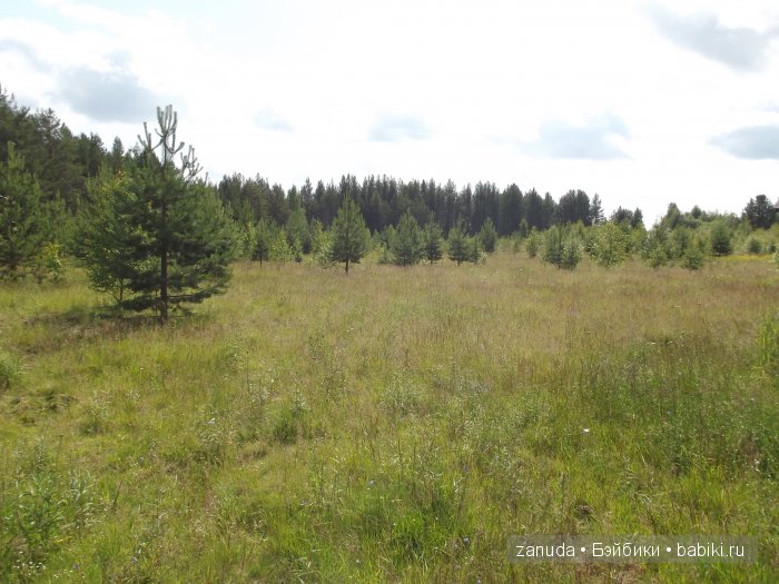 Путешествие Зефирки и Шоколадки