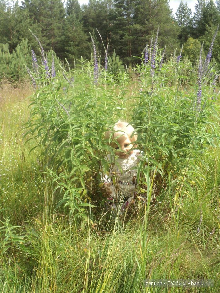 Путешествие Зефирки и Шоколадки