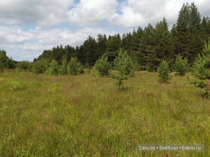 Путешествие Зефирки и Шоколадки