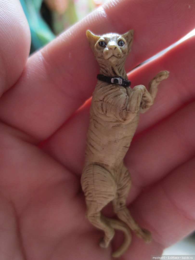 Мой мини - микро мир — Болталка и разговоры обо всем: жизнь