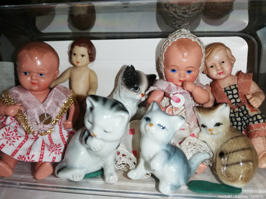 Малышонки в новой коробченке (фото 2)