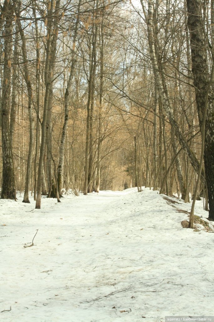 Весна. Апрель и рыжие девочки