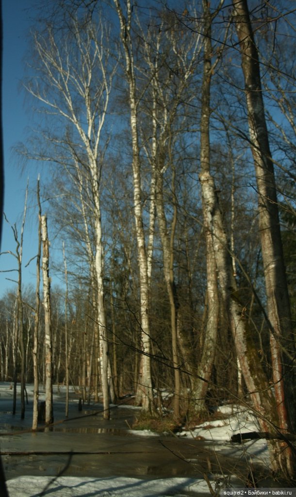 Весна. Апрель и рыжие девочки (фото 10)