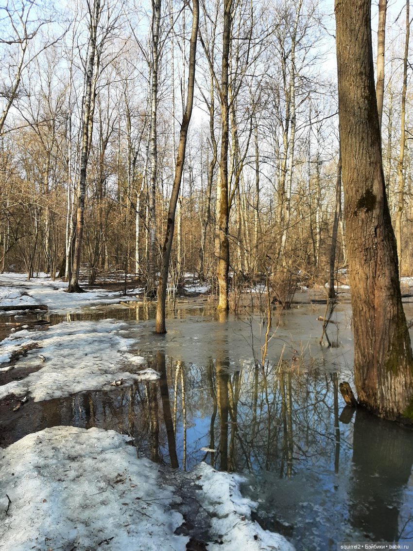 Весна. Апрель и рыжие девочки
