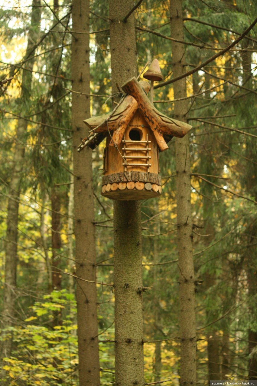 Кроет уж лист золотой влажную землю в лесу