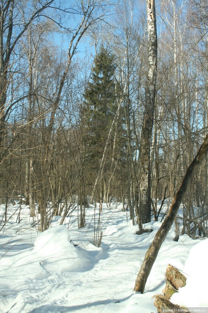 Кукольная весна 2022 | Бэйбики Кукольная весна 2022 — Куклы Sylvia Natterer (Сильвия Наттерер): Gotz