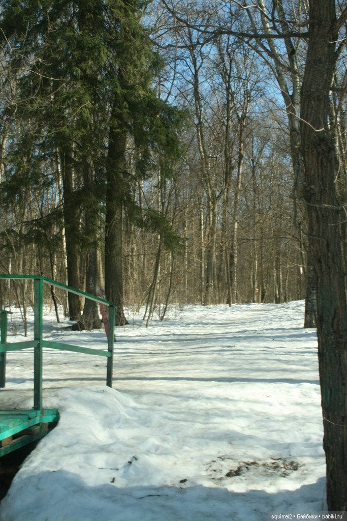 Кукольная весна 2022 | Бэйбики Кукольная весна 2022 — Куклы Sylvia Natterer (Сильвия Наттерер): Gotz