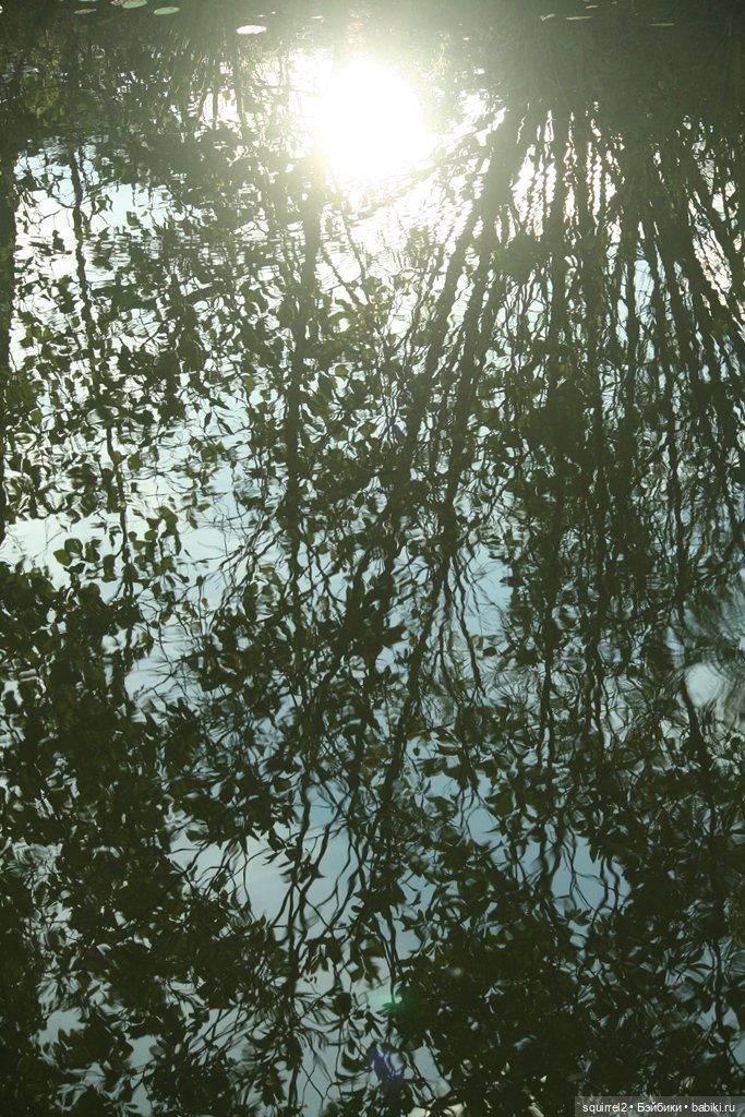 Рубиночки в августе | Бэйбики Рубиночки в августе — Куклы Ruby Red (Руби Ред) Fashion Friends: Siblies