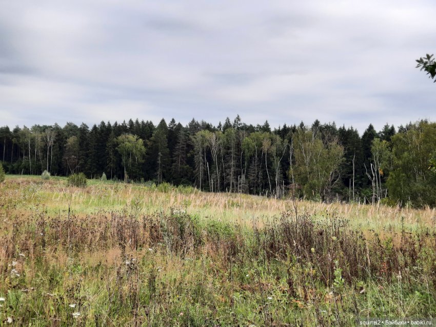 Прогулки в сентябре с рубиночкой (фото 10)