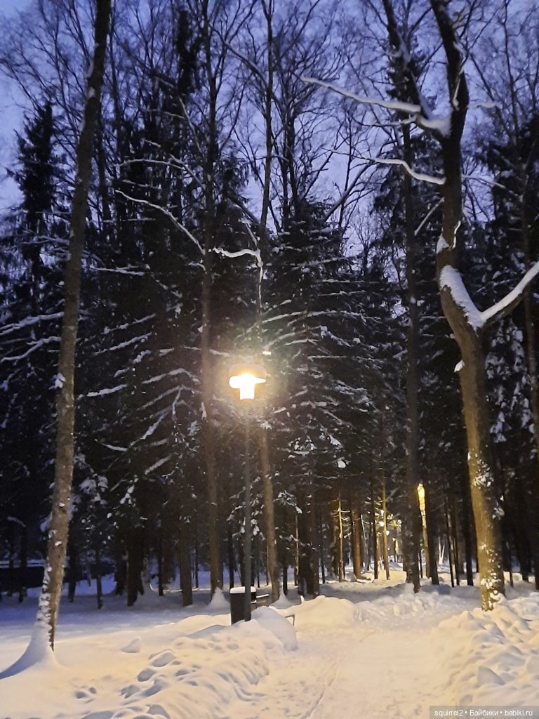 Зимняя прогулка с мыслями о счастливых моментах начала года | Бэйбики Зимняя прогулка с мыслями о счастливых моментах начала года