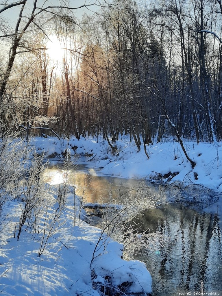 Зимняя прогулка с мыслями о счастливых моментах начала года | Бэйбики Зимняя прогулка с мыслями о счастливых моментах начала года (фото 7)