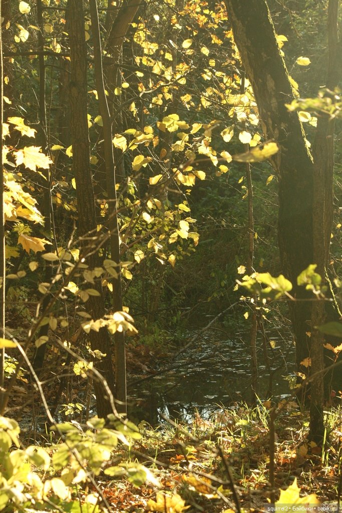 Осень. Первая любовь. И немного Андерсена