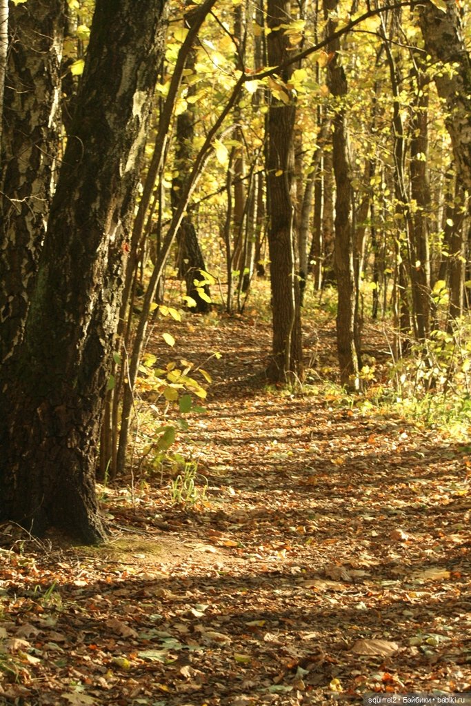 Осень. Первая любовь. И немного Андерсена (фото 5)