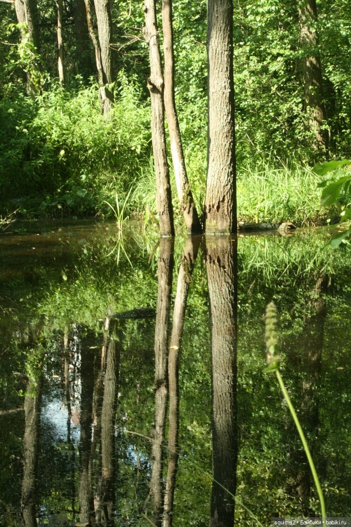 Лето. Август. Куклы Сильвии Наттерер (фото 3)