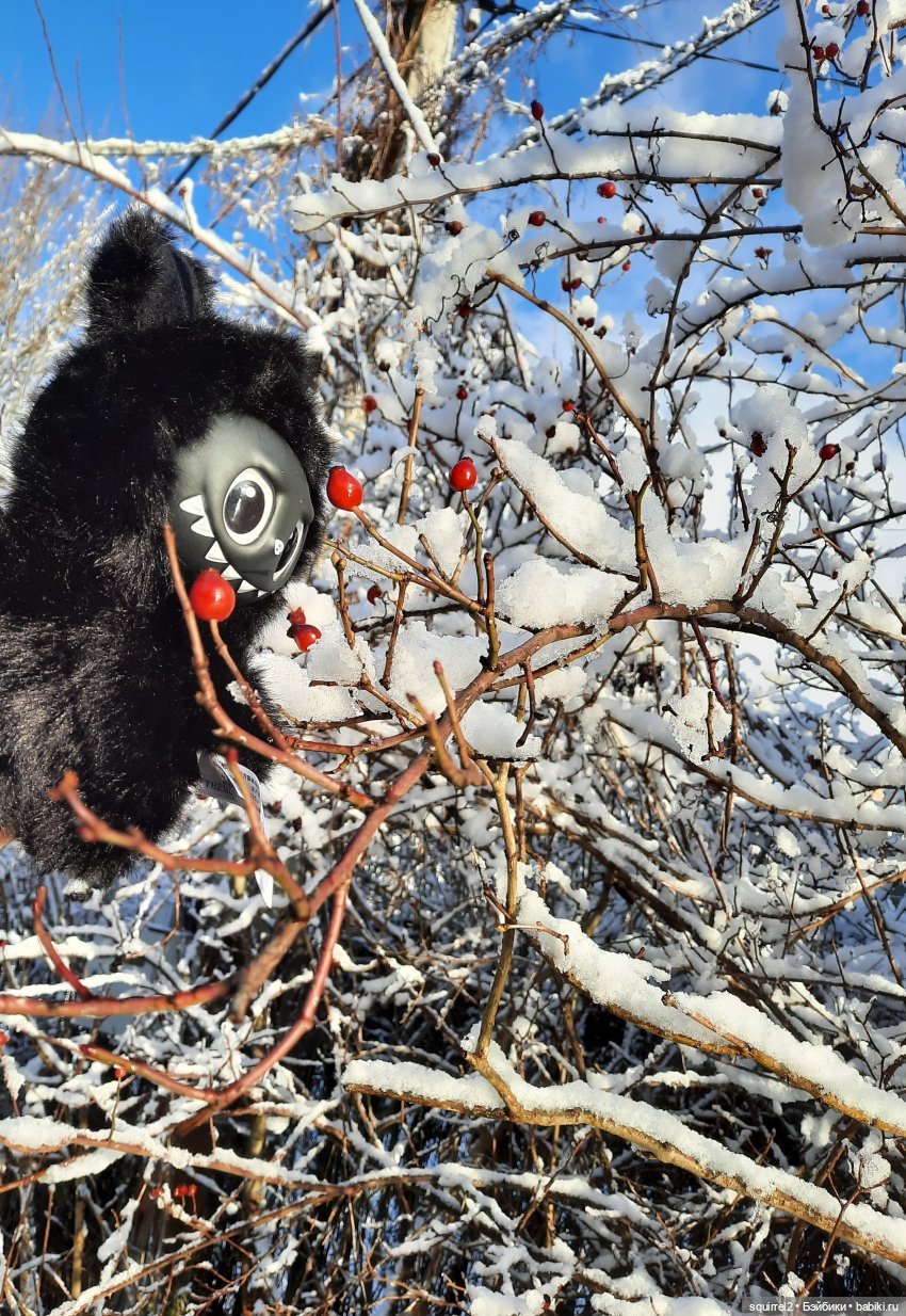 Кукольные итоги 2025 года