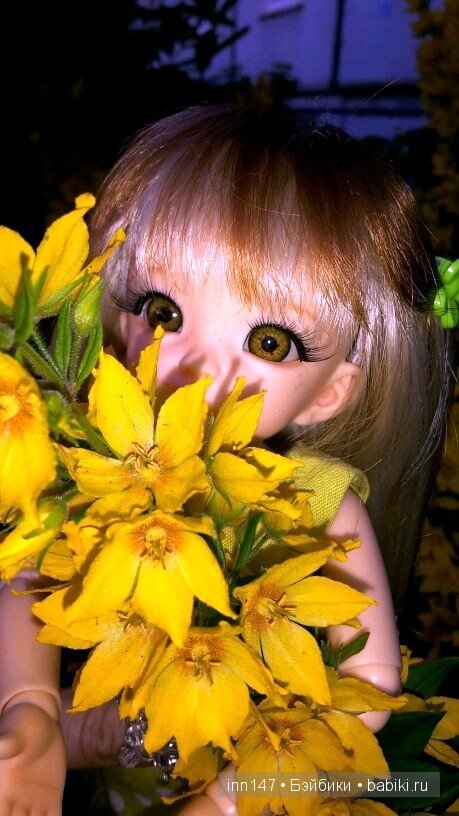 Литлфи Васена и мои розы | Бэйбики Литлфи Васена и мои розы — Куклы Fairyland (ФэйриЛэнд): BJD (БЖД)