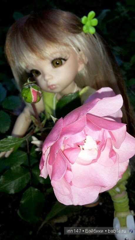 Литлфи Васена и мои розы | Бэйбики Литлфи Васена и мои розы — Куклы Fairyland (ФэйриЛэнд): BJD (БЖД)