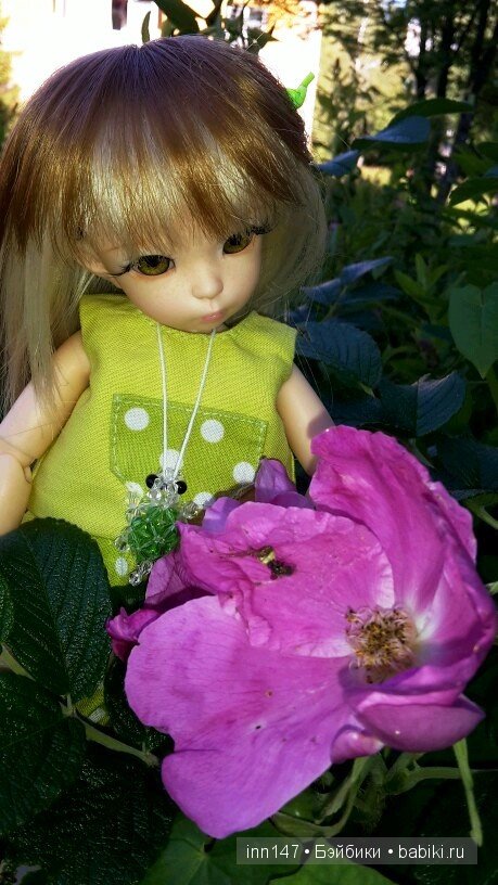 Литлфи Васена и мои розы | Бэйбики Литлфи Васена и мои розы — Куклы Fairyland (ФэйриЛэнд): BJD (БЖД)