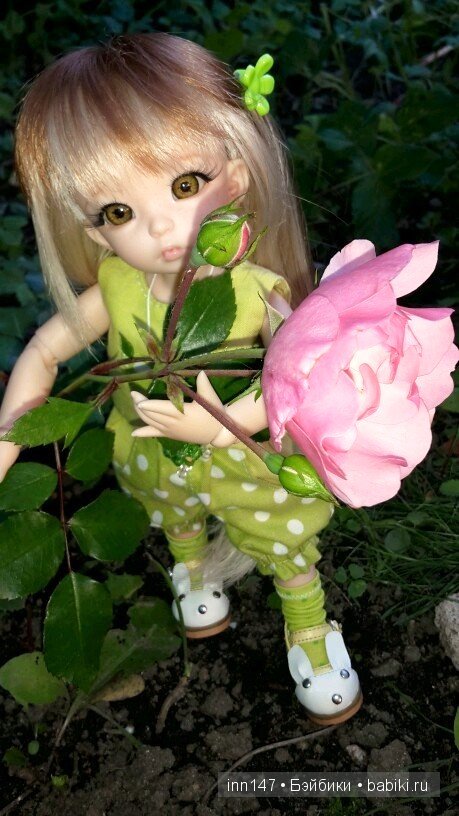 Литлфи Васена и мои розы | Бэйбики Литлфи Васена и мои розы — Куклы Fairyland (ФэйриЛэнд): BJD (БЖД)