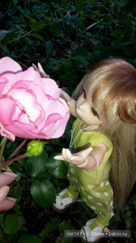 Литлфи Васена и мои розы | Бэйбики Литлфи Васена и мои розы — Куклы Fairyland (ФэйриЛэнд): BJD (БЖД)