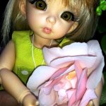 Литлфи Васена и мои розы!