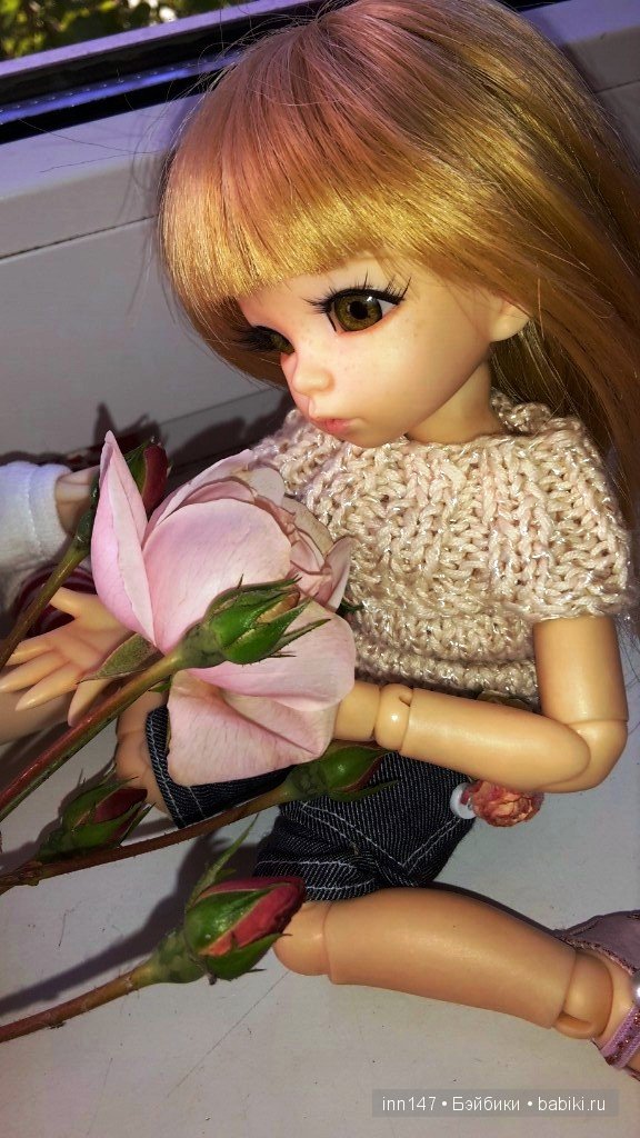 Мои Литтелфи Васенка и Бижу спасли из сада розу (фото 10)